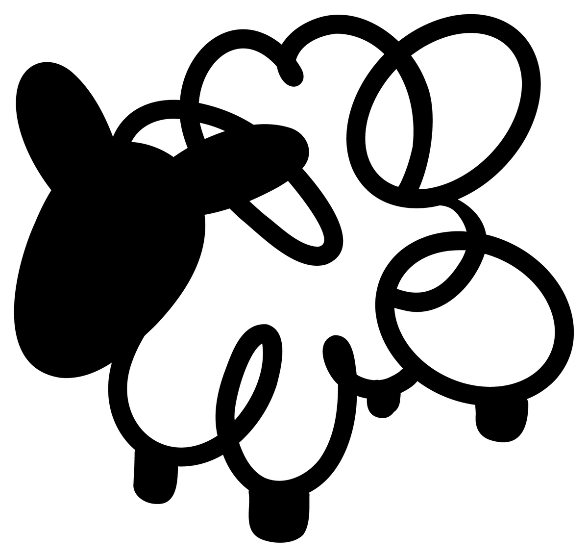 The Wool Commons